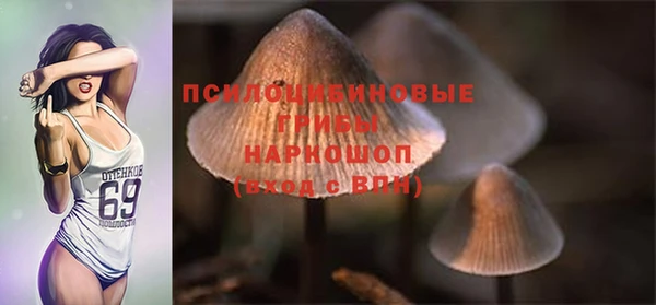 МДМА Болотное