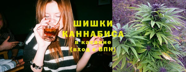 молекула духа Волоколамск