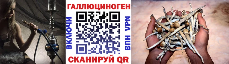 Галлюциногенные грибы прущие грибы  Елец 